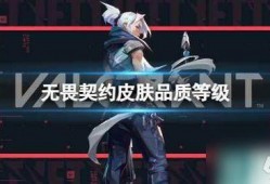 最新皮肤爆料无畏契约,炫酷造型，技能特效升级！