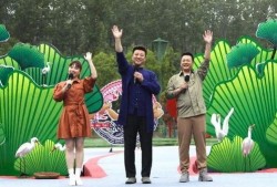 厦门爆料打卡事件视频最新,视频揭秘背后真相与争议